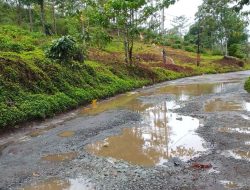 Jalan Kabupaten Ruas Jampangkulon–Kalibunder–Sagaranten Buruk, Diperparah Saluran Kabel dan Tiang Wifi di Sembarang Tempat