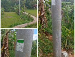 PLN Jampang Kulon Beri Tanggapan Soal Tiang Listrik di Lahan Warga Desa Bojong